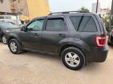 ford escape