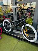 Vélo Cross 20