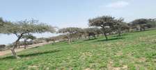 Terrain à Mboro par hectares