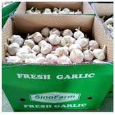 🧄🚛  Garlic frais disponible en gros ets. Demis gros