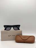 Ray Ban meta lunette connectee