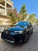 LEXUS ux250h, 2019 Hybride
