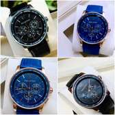 Montre Audemars Piquet Authentique pour Homme