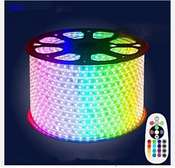 Led en rouleaux 100m, professionnel, IP67