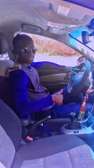 Chauffeur professionnel