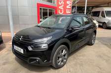 C4 CACTUS