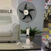 VENTILATEUR RISING RECHARGEABLE