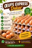 Vente d'oeufs