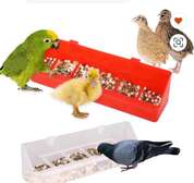 Mangeoire automatique oiseaux et petits animaux rouge