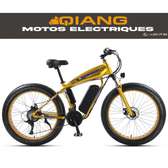 vélo électrique
