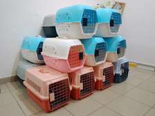 Cage de transport pour chien/chat
