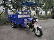 Tricycles avec carbotage