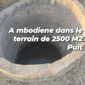 Terrain agricole de 2500 m² à MBODIENE
