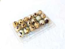 Viande et œufs de caille