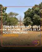 Terrain en 1er ligne route à Ngaparou