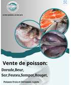 Vente de poisson frais