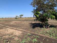Entrepreneur Agricole