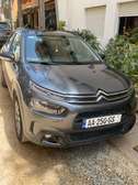 Citroën Cactus 2022