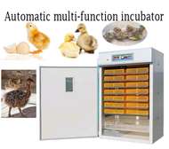 Couveuse incubateur entièrement automatique