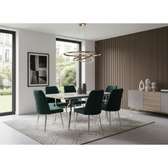 TABLE A MANGER 6PLACES 80X140 METAL BLANC VERT A50