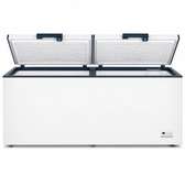 CONGELATEUR 850LITRES FINIX HORIZONTAL 2PORTES BLANC