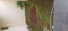 villa louer mermoz