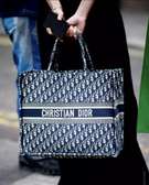 Sacs à mains Christian Dior