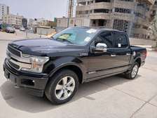Ford f150 palatinum 2019