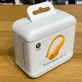 Ecouteurs  Powerbeats PRO 2