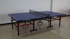 Table de ping-pong pliable JARDIN