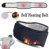Ceinture dorsale