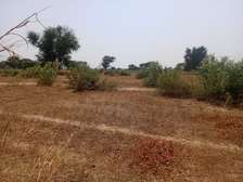 Terrain Agricole de 2,07 Hectares vers Tassette – Thiès