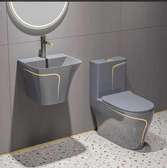 Toilette et lavabo gris anthracite éclairage LED