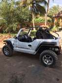 Buggy 2013