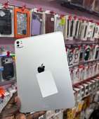 iPad m5 11 pouch 256 giga wifi