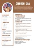 Comptable , Caissier et assistant paie