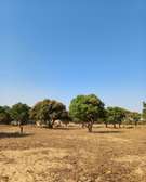 Terrains de 150 m² viabilisés, sécurisés en vente à Bambilor