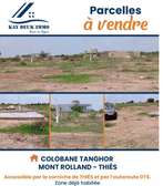 Lot de 500 parcelles à colobane tanghor