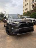 Rav4 2024