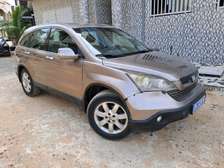 HONDA   CR-V