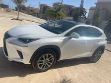 Lexus nx 300  2020