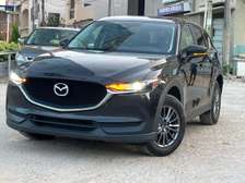 Cx5