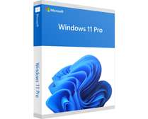 Licences authentiques et à vie de Windows Pro 10 et 11