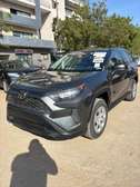 Toyota RAV4 2020
