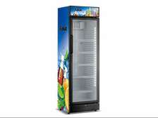REFRIGERATEUR FINIX 1PORTE 380LITRES VITRINE
