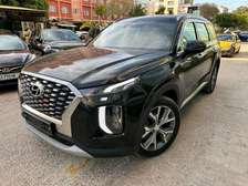 Hyundai palissade 2019