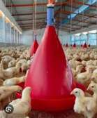 ABREUVOIR AUTOMATIQUE