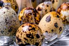 Oeufs de Cailles