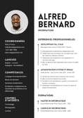 Cv pro+ page Facebook professionnelle + Logo personnalisé