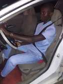 Chauffeur professionnel